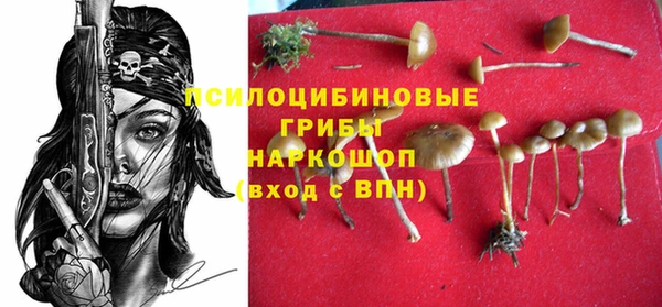 спиды Алексеевка