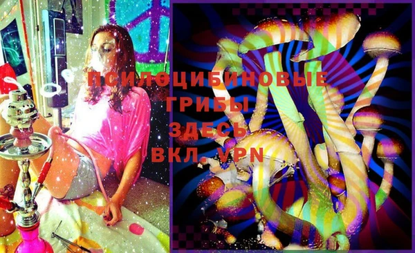 спиды Алексеевка