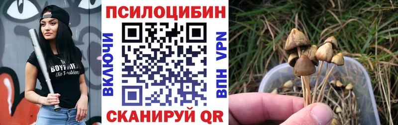 Псилоцибиновые грибы мухоморы Грязовец